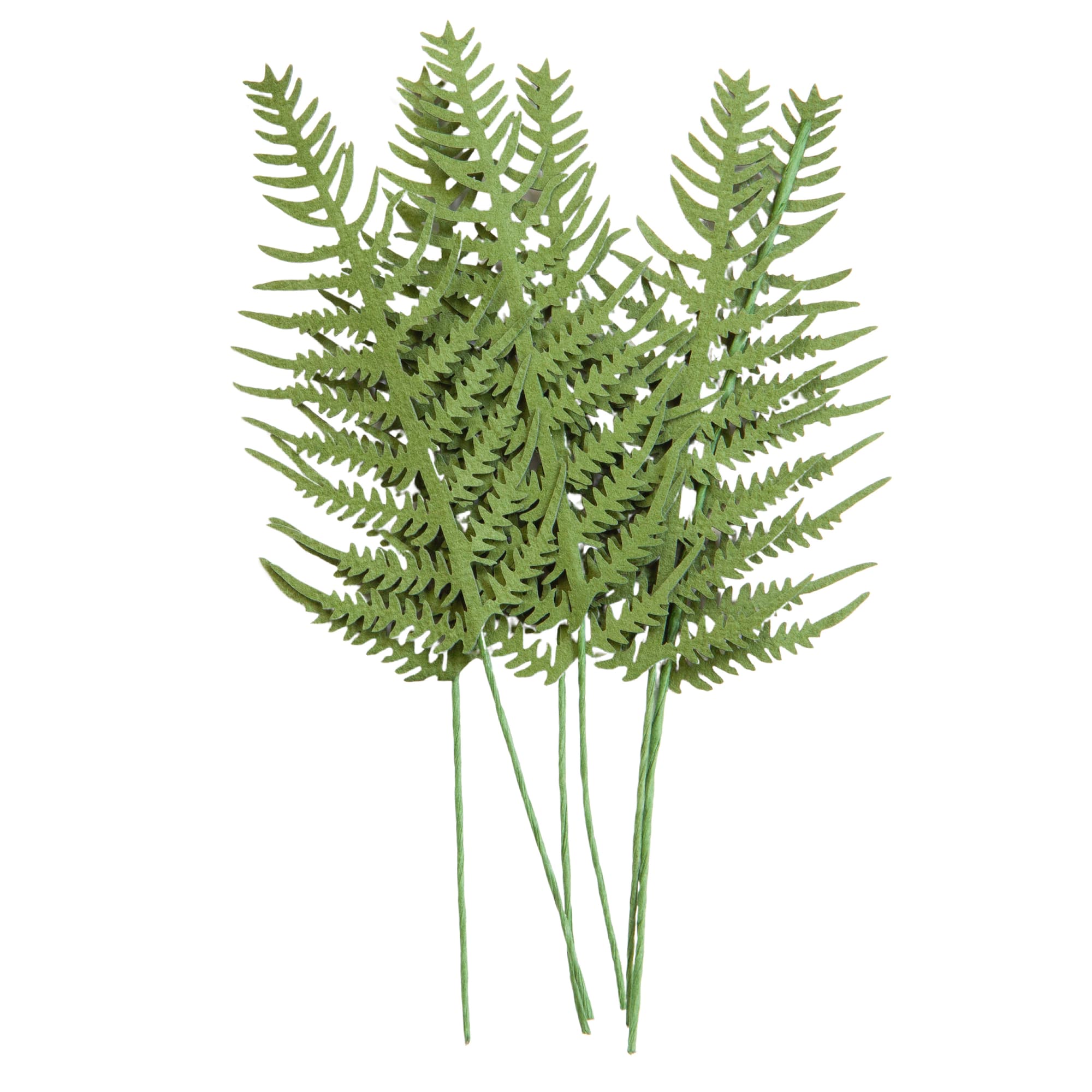 Green Paper Fern Embellishments by Recollections™